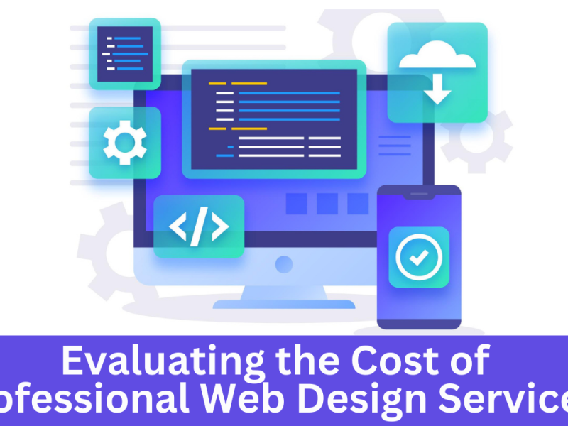 Evaluating the Cost of Professional Web Design Services